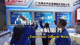 ضواغط مكيف الهواء للسيارات للأسواق العالمية